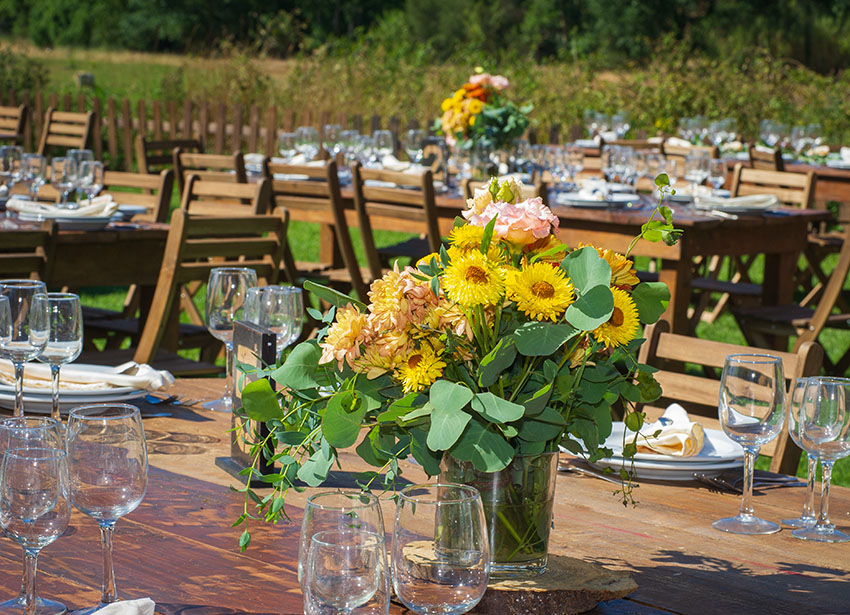 Casamento S&J – Herdade do Monte Novo